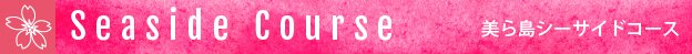 美ら島シーサイドコース